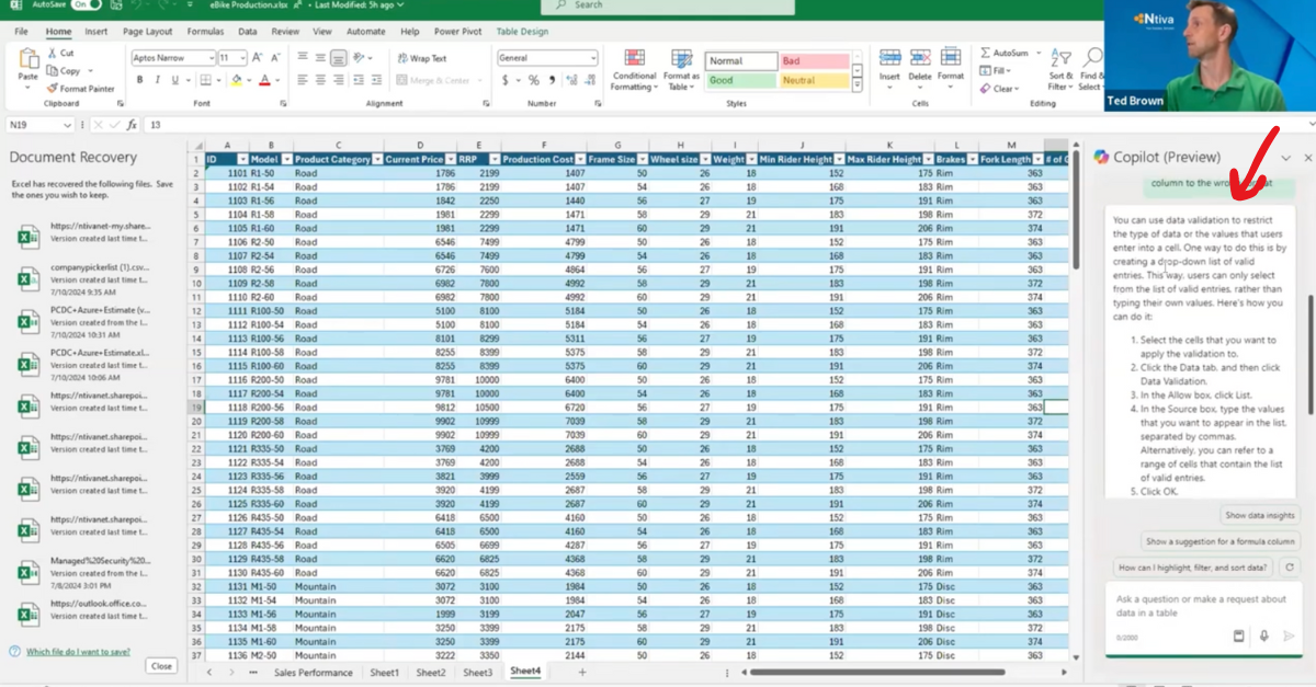 Excel copilot