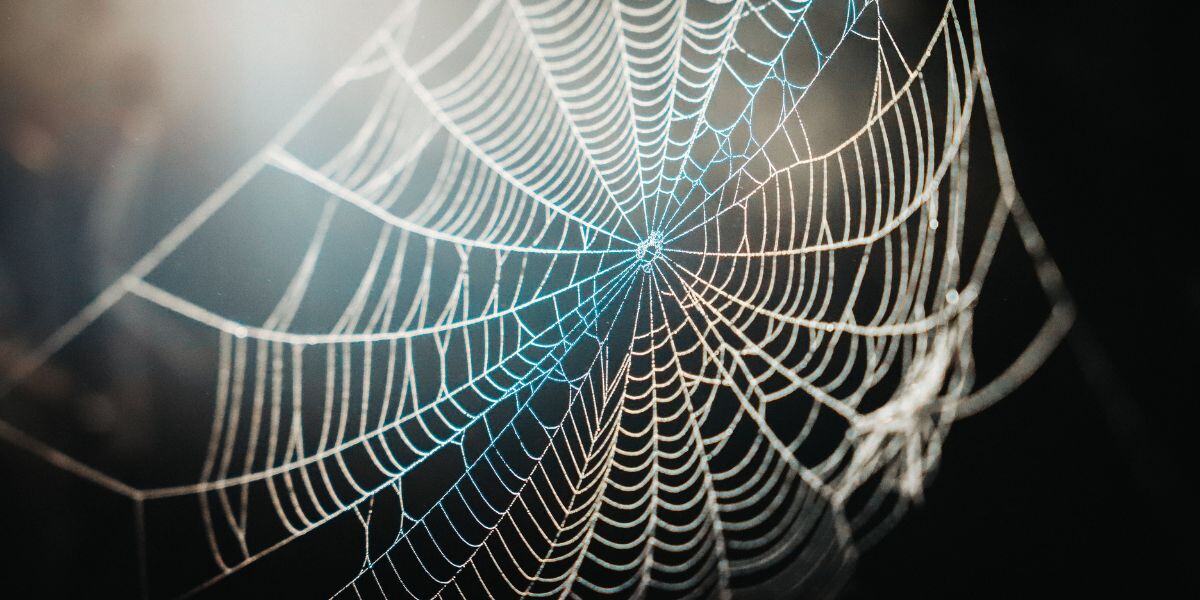 What is the Dark Web? What Do I Do If My Info is on the Dark Web?